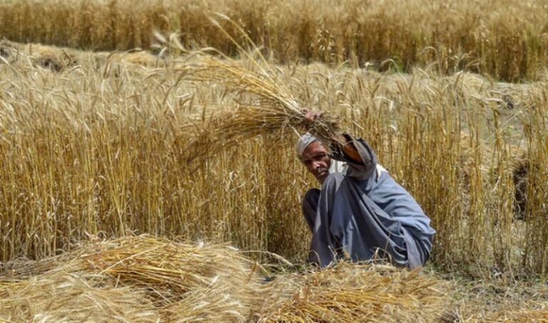 Rising Temperature Provokes Water and Food Insecurity in Pakistan and India