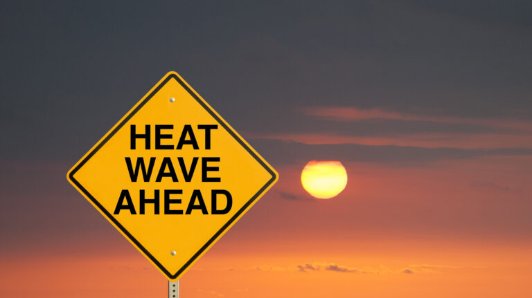 Tips to Stay Safe During the Torrid Heat wave