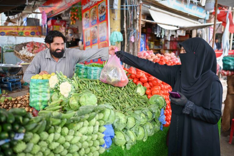 Merchant digitization emerges as one key driver for Pakistan’s inclusive economic growth in UN report