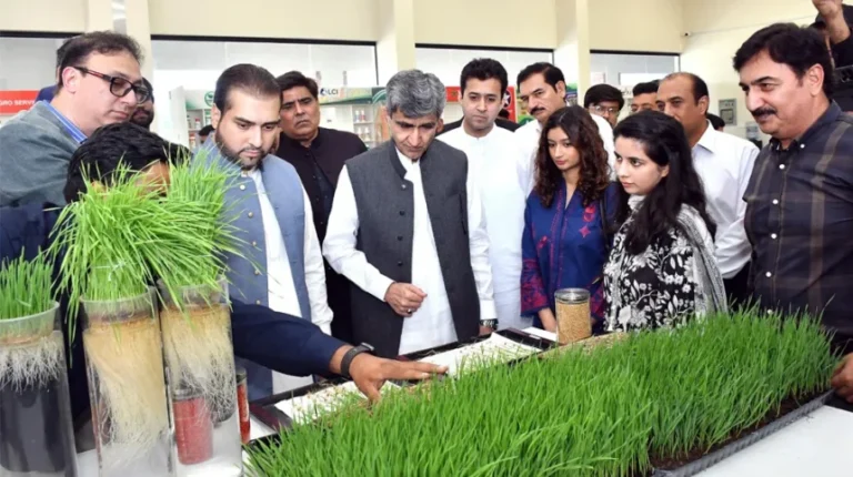 Syngenta Pakistan Revives Hope for Flood-Affected Farmers in Punjab